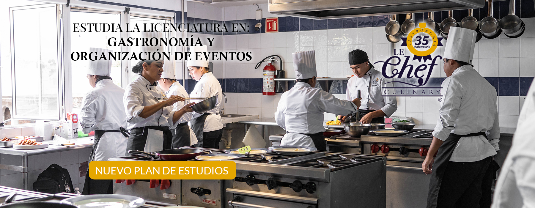 Diplomado en Gastronomía en Veracruz
